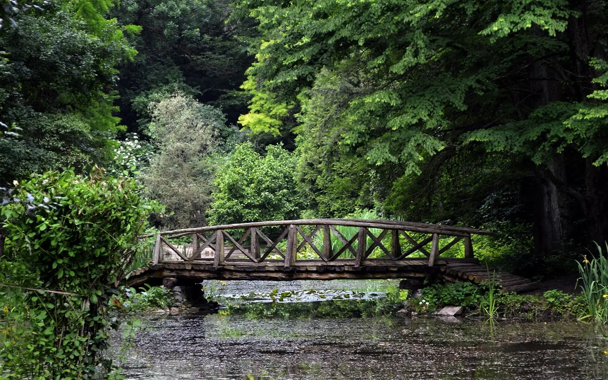 Arboretumul Simeria — parc dendrologic